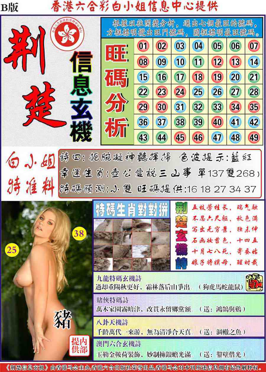 六合彩081期荆楚信息玄机B