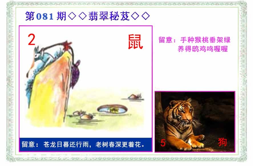 六合彩081期翡翠报