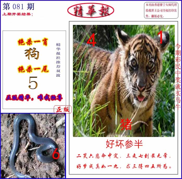 六合彩081期新精华报报