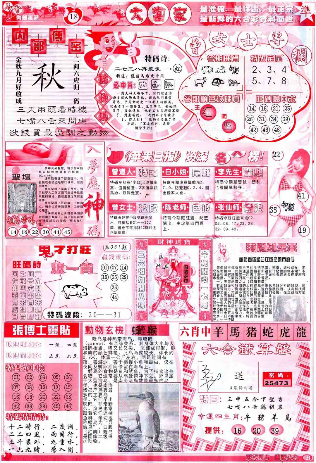 六合彩081期彩卷后庄B(保证香港版)