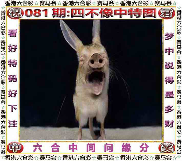 六合彩081期四不像中特图