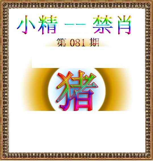 六合彩081期小精禁肖