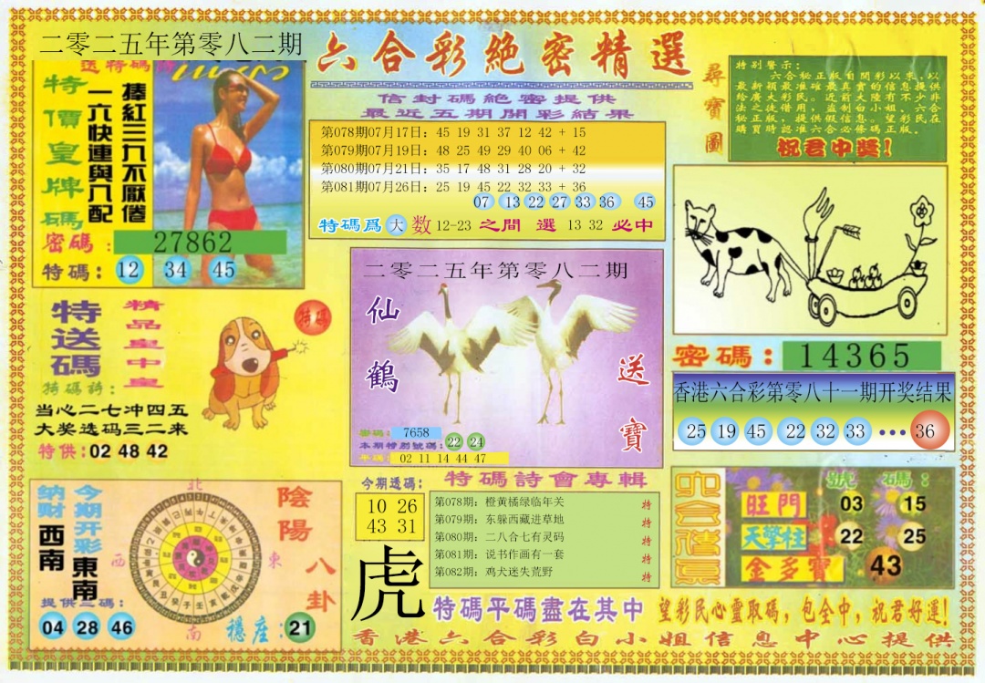 六合彩082期绝密精选A