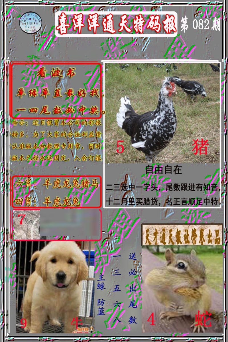 六合彩082期洋通报