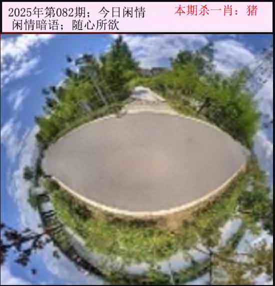 六合彩082期今日闲情