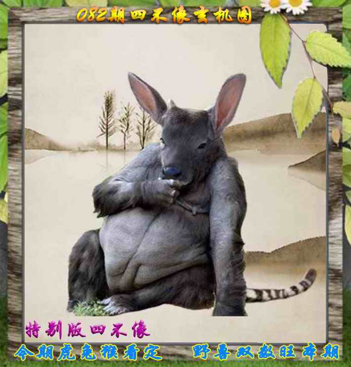六合彩082期四不像特别版