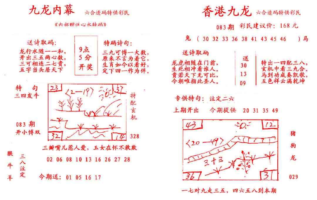 六合彩083期九龙内幕