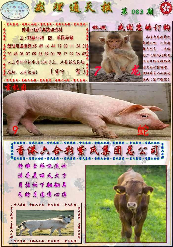 六合彩083期数通报