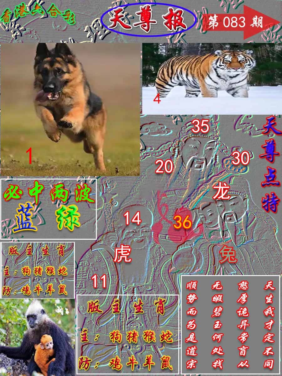 六合彩083期天尊报