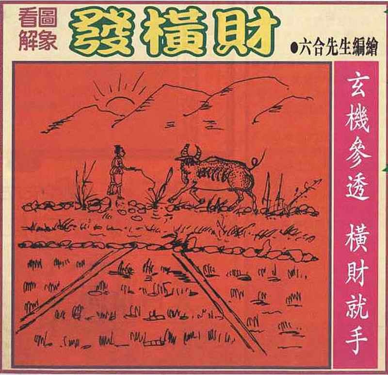 六合彩083期大财经发财图