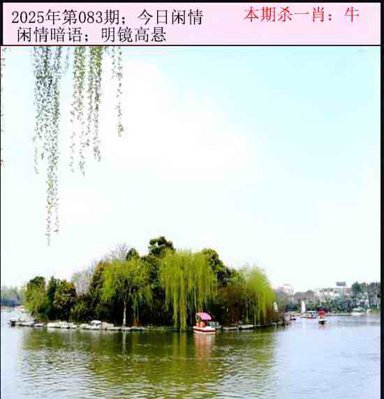 六合彩083期今日闲情