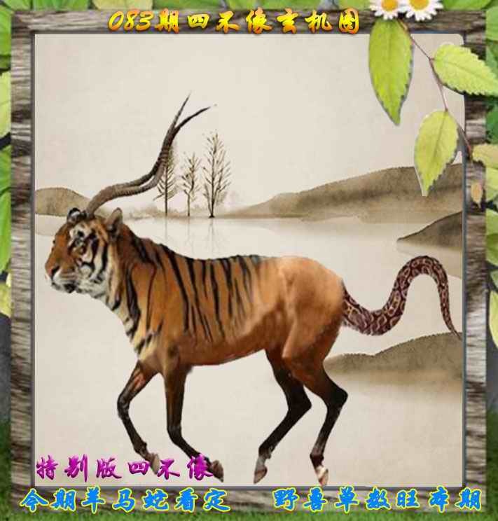 六合彩083期四不像特别版