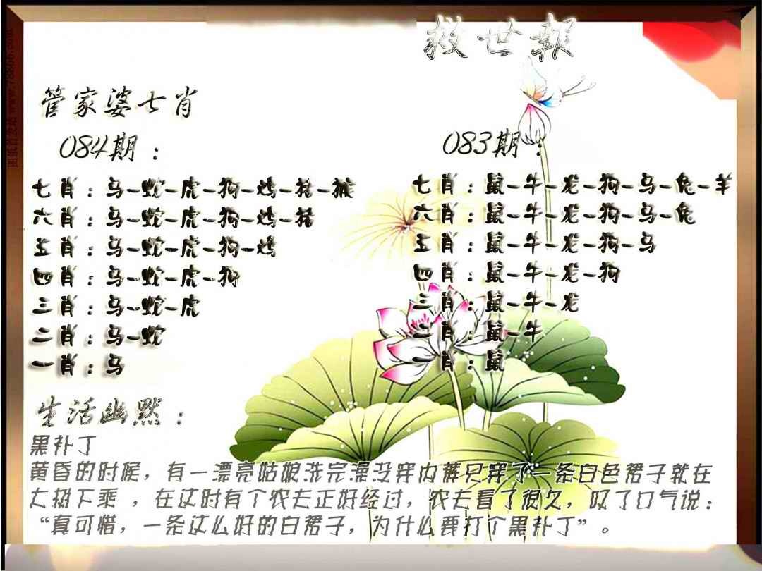 六合彩084期特码救世报
