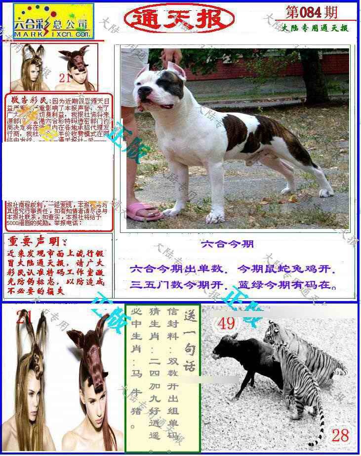 六合彩084期大陆通天报