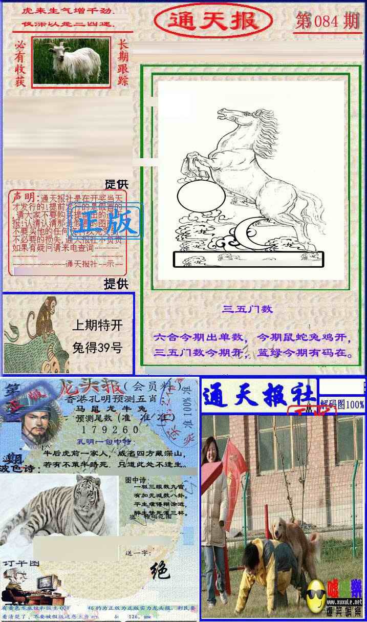 六合彩084期实力通天报