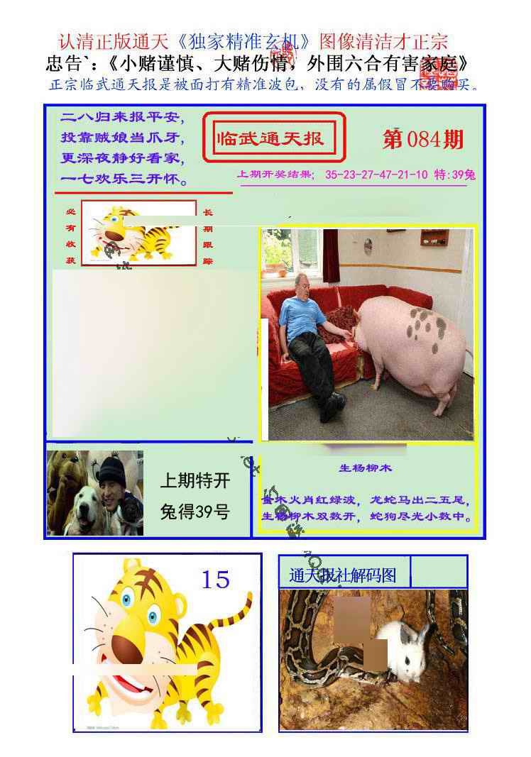 六合彩084期临武通天报
