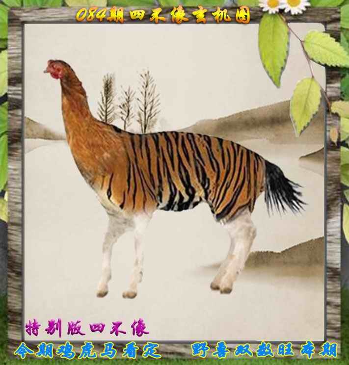 六合彩084期四不像特别版