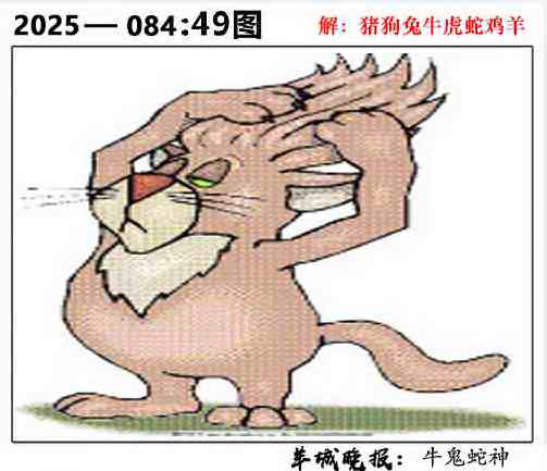 六合彩084期49图