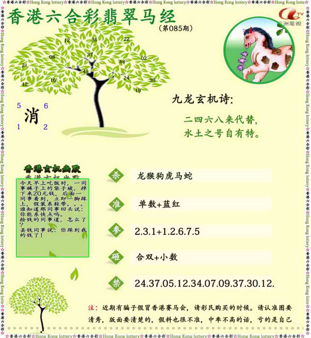 六合彩085期翡翠马经