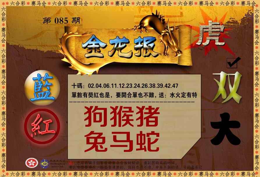 六合彩085期金龙报