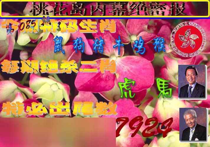六合彩085期桃花岛内幕报