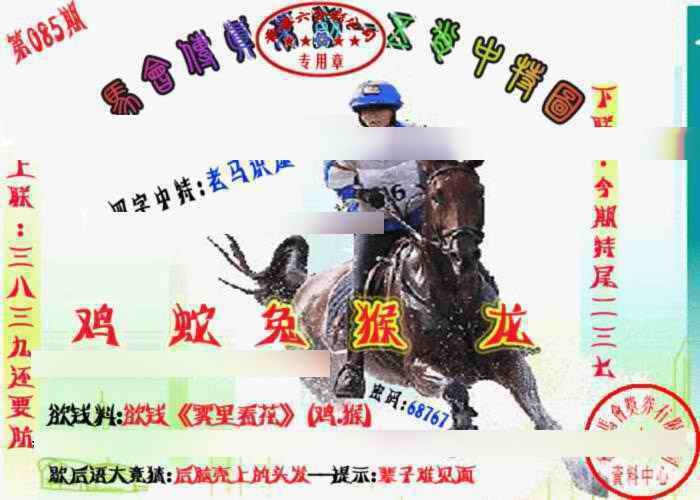 六合彩085期马会传真-五肖料