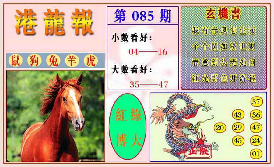 六合彩085期港龙报