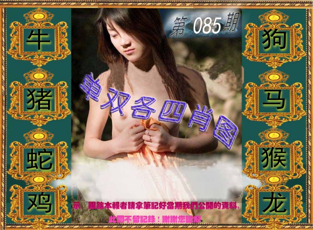 六合彩085期单双各四肖图