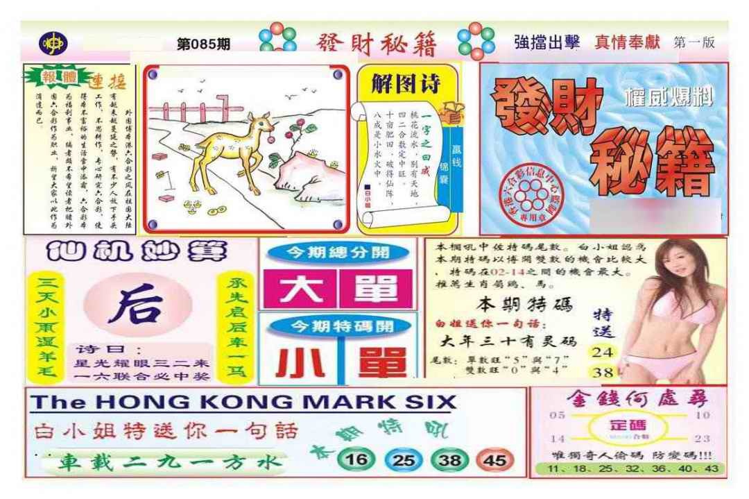 六合彩085期发财秘籍A（新图）