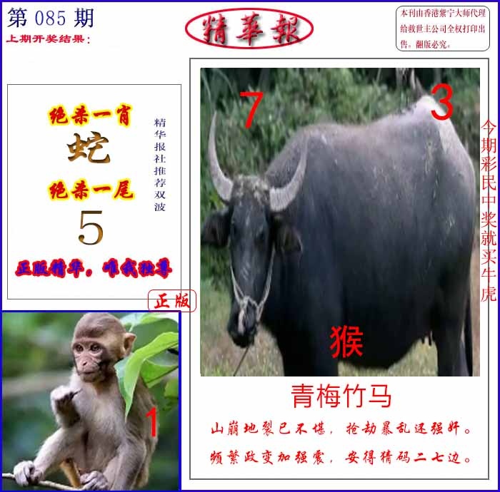 六合彩085期新精华报报