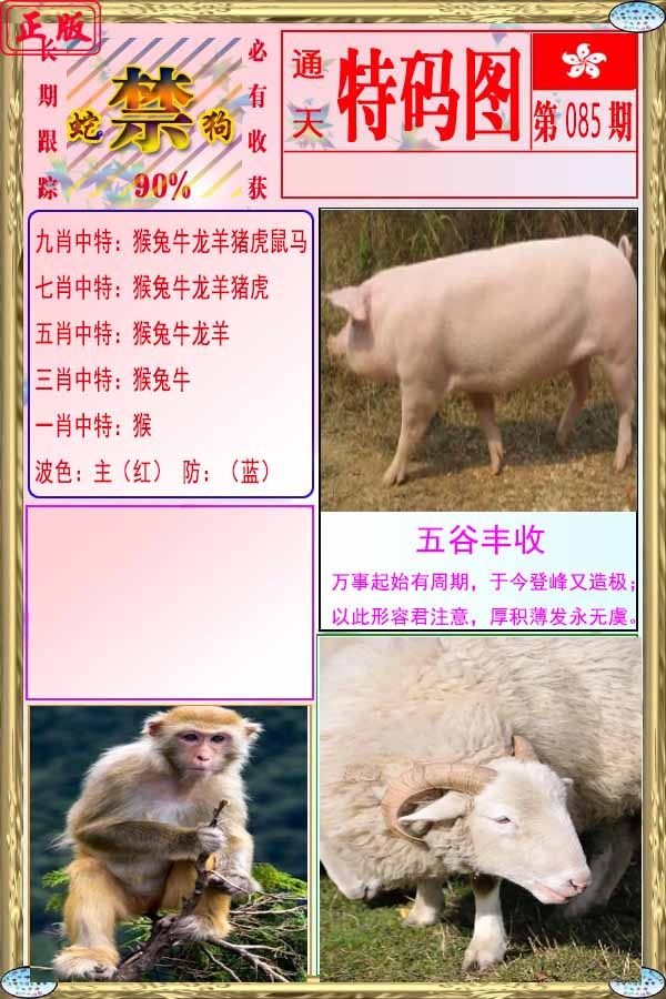六合彩085期特码图