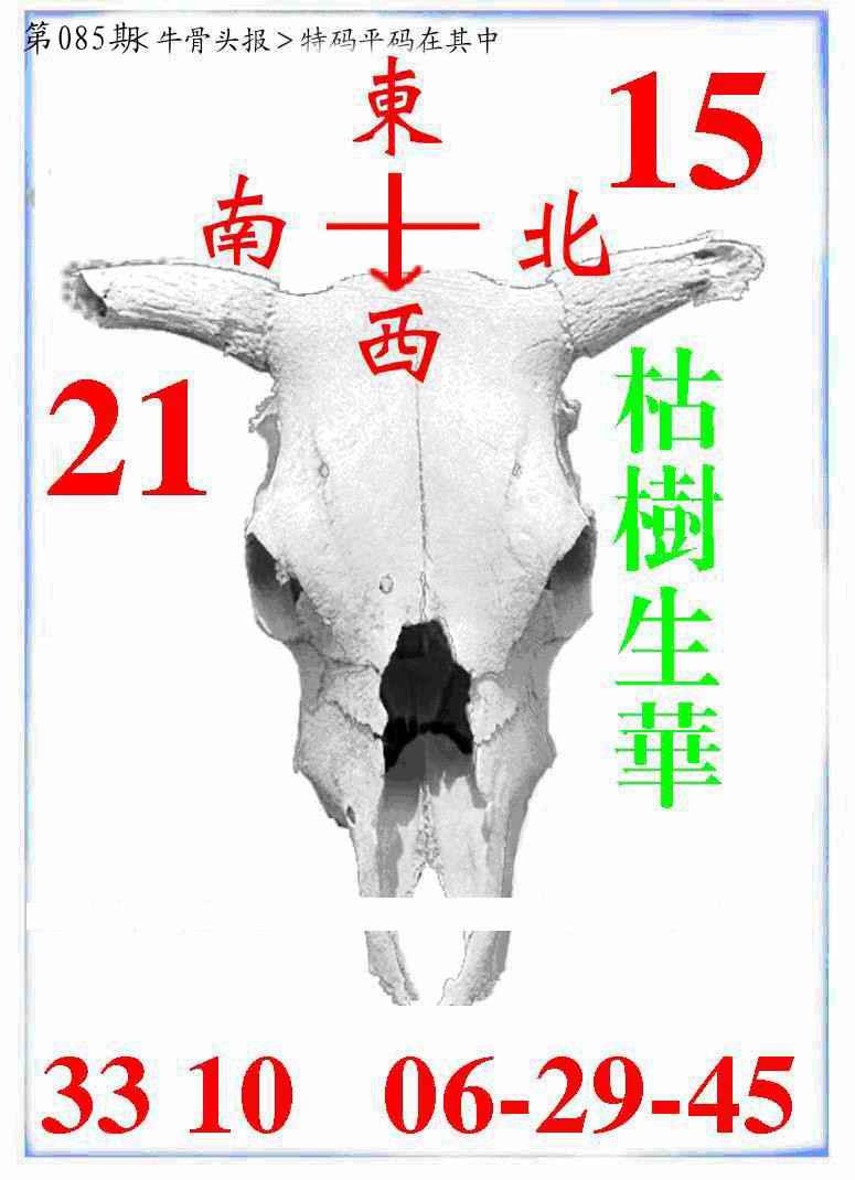 六合彩085期牛派牛头报
