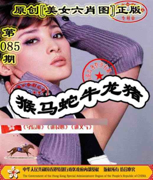 六合彩085期另版美女六肖图