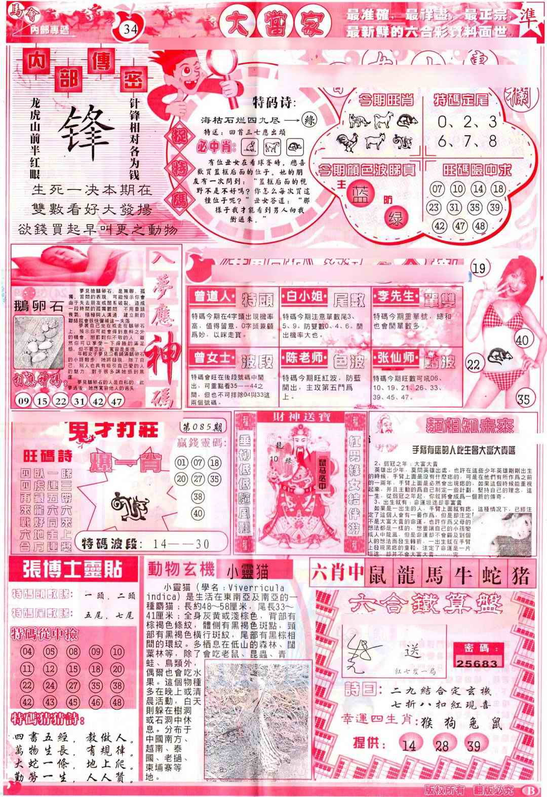 六合彩085期彩卷后庄B(保证香港版)