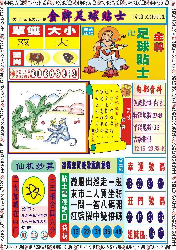 六合彩085期金牌足球贴士记录