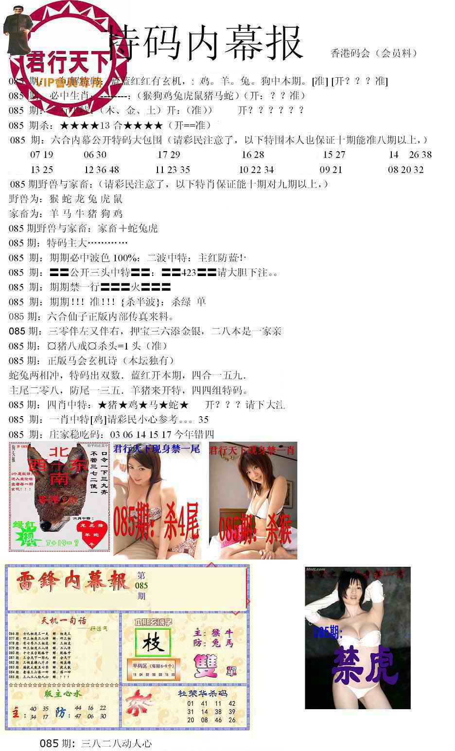 六合彩085期特码内幕报