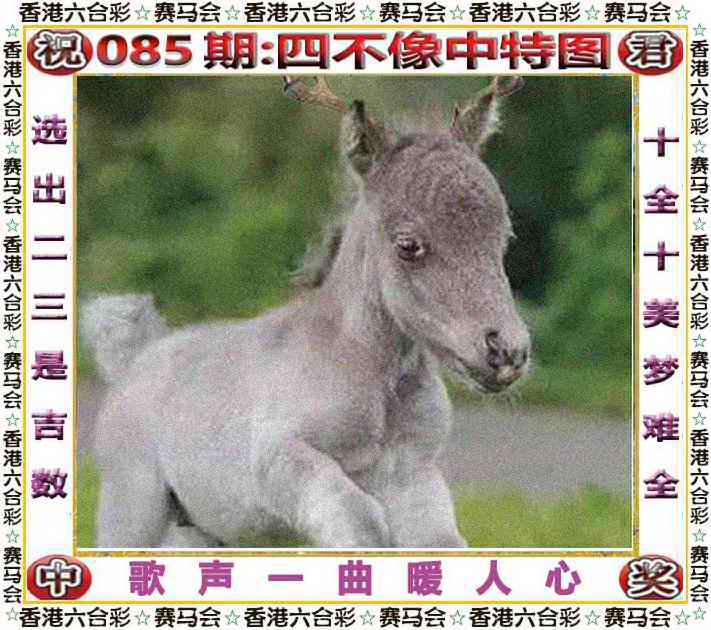 六合彩085期四不像中特图