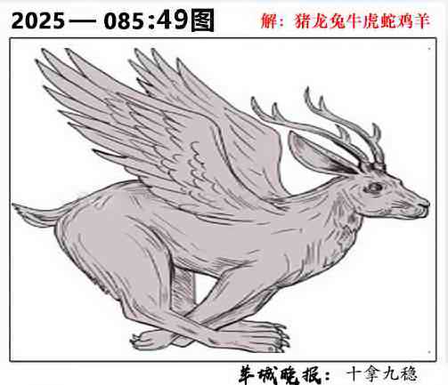 六合彩085期49图