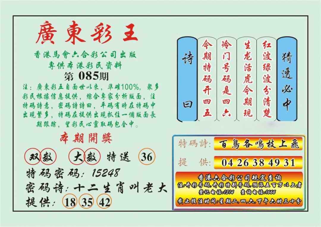 六合彩085期广东彩王