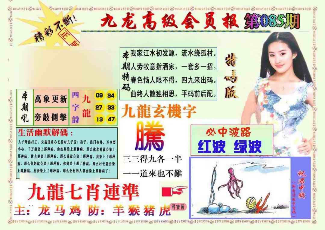 六合彩085期九龙高级会员报