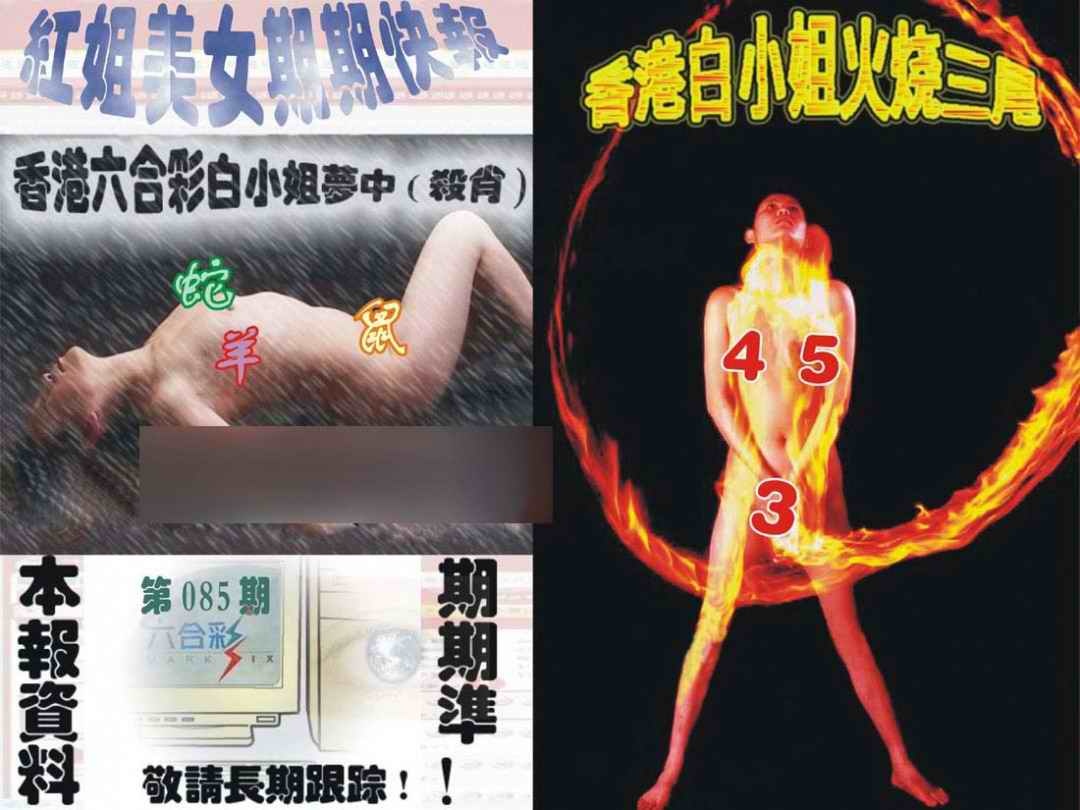 六合彩085期环球美女特码报