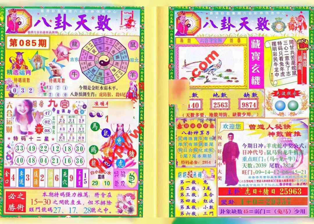 六合彩085期八卦天数