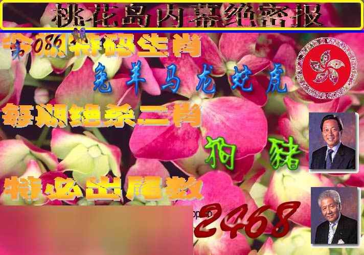 六合彩086期桃花岛内幕报