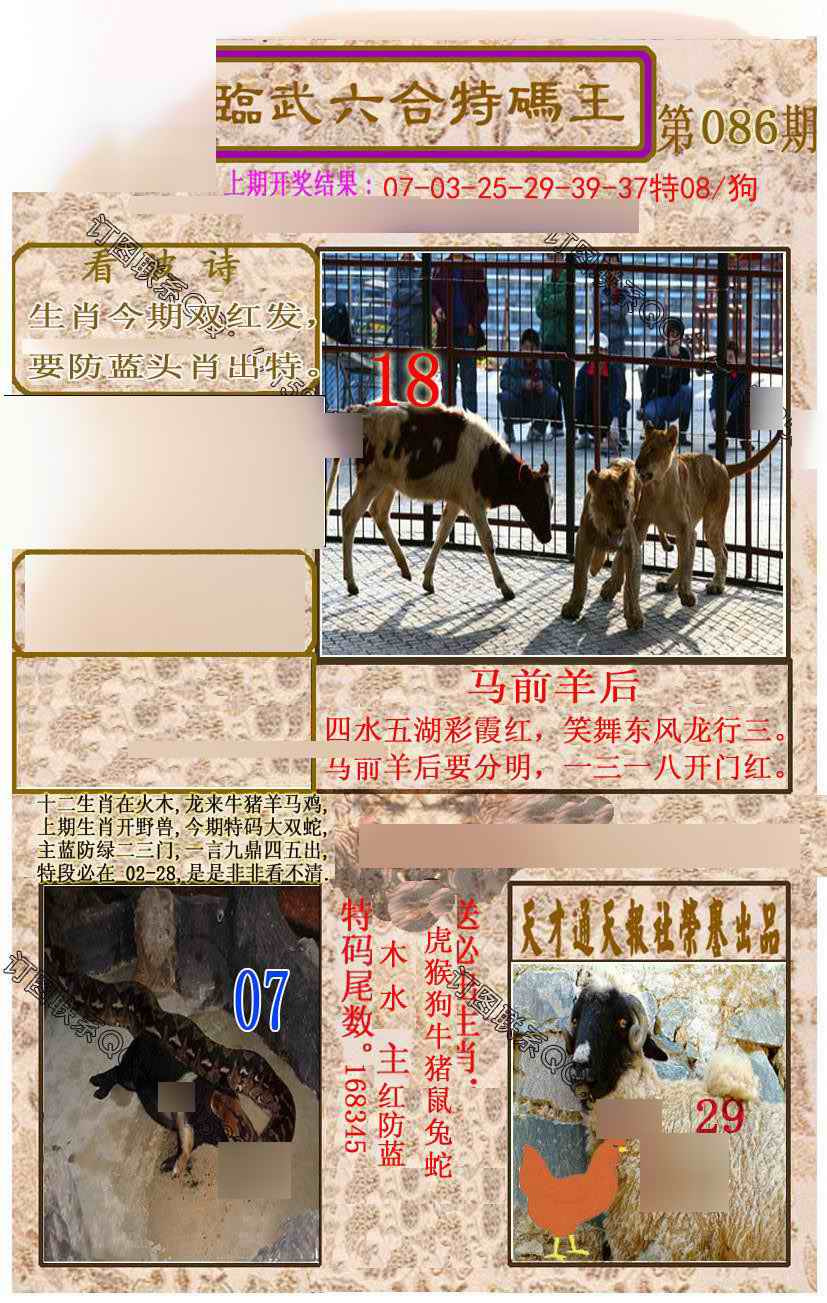 六合彩086期临武六合特码王