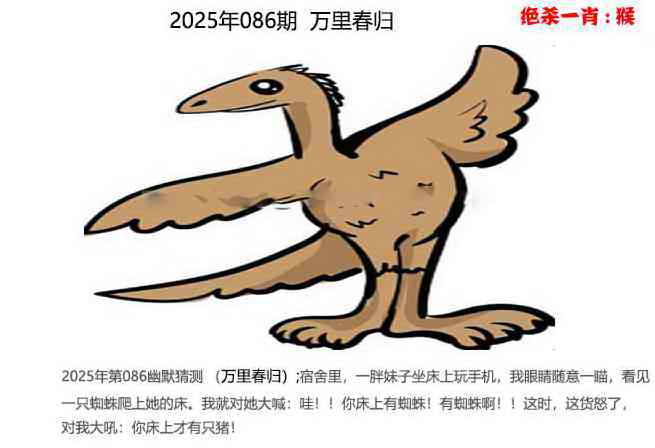 六合彩086期幽默猜测