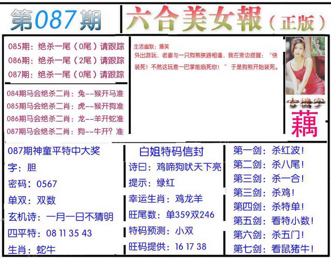 六合彩087期美女报