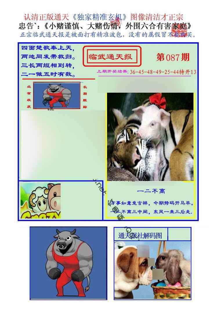 六合彩087期临武通天报