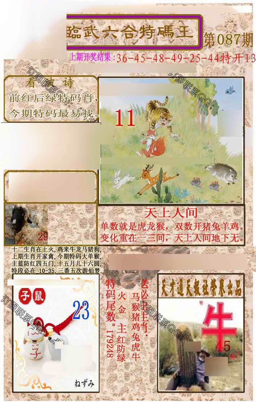 六合彩087期临武六合特码王