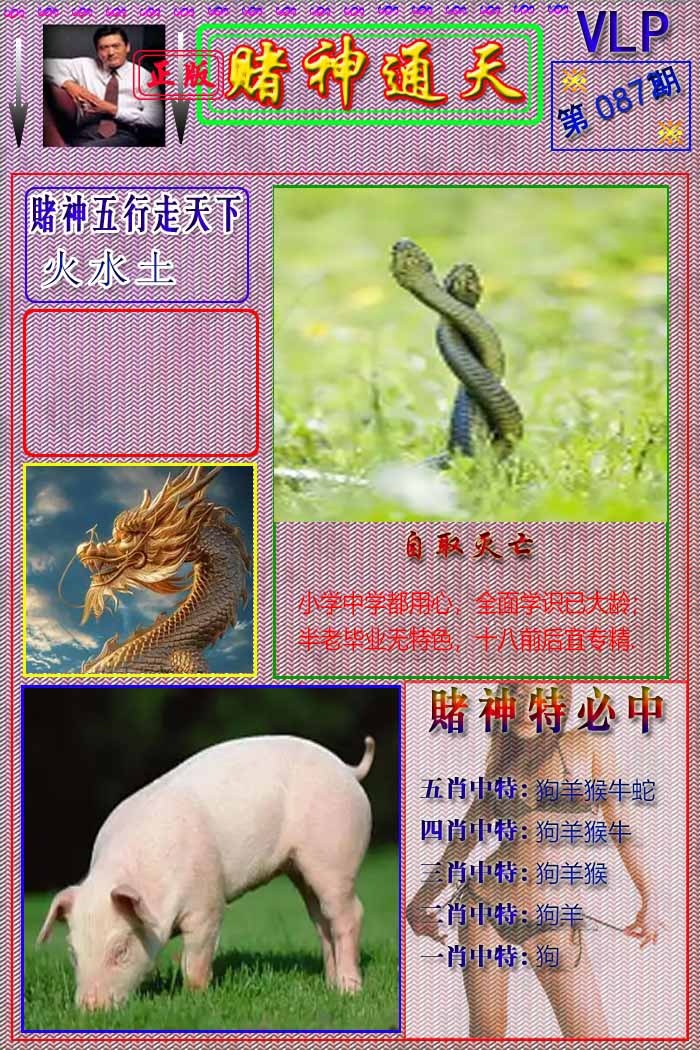 六合彩087期赌神通天报
