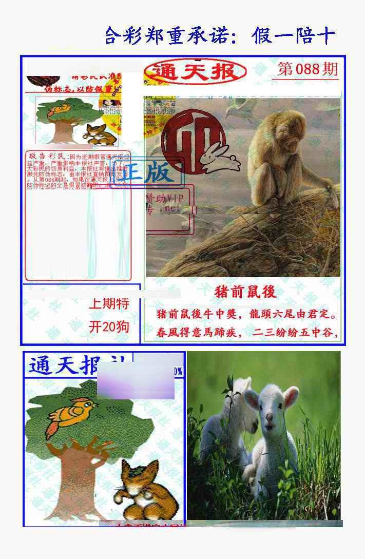 六合彩088期假一陪十通天报